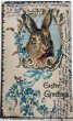 画像1: Postcard　アンティークポストカード　イースター 　ウサギと忘れな草のお花　 (1)