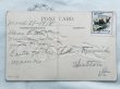 画像3: Postcard　アンティークポストカード　イースター 　ウサギ車に乗る女の子　スノードロップ　1918年 (3)