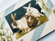 画像2: Postcard　アンティークポストカード　イースター 　ウサギとスノードロップのお花　シルク布貼り　（未使用） (2)