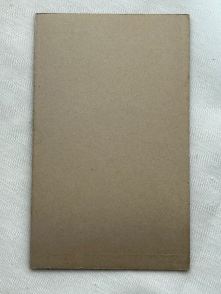 画像3: Vintage carte de visite　アンティーク　ミニ肖像写真　小さな女の子　ドイツ (3)