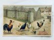 画像1: Postcard　アンティークポストカード　イースター　道端のニワトリとヒヨコ　鶏 (1)