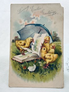 O42 北欧ヴィンテージ　アンティーク　レトロな絵葉書　ひよこ　動物 Snowdrop Postcards アンティークポストカード専門店