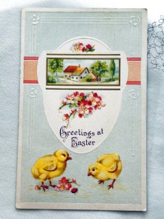 Snowdrop Postcards アンティークポストカード専門店 < Chick Snowdrop Postcards アンティークポストカード専門店 < Chick