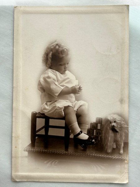 画像1: Antique photo  肖像写真　小さな子どもと犬のぬいぐるみと積み木　 (1)