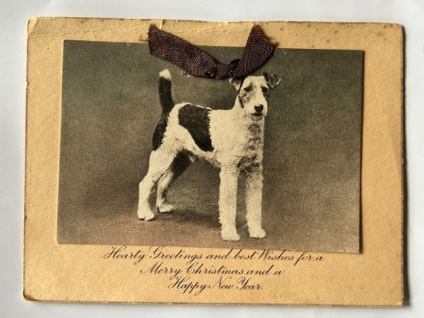 画像1: Greeting card　アンティークグリーティングカード　新年祝い　New Year ワイヤーフォックステリア犬 (1)