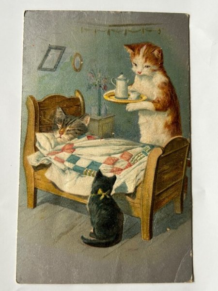 画像1: Postcard  　アンティークポストカード　病気の猫さん (1)