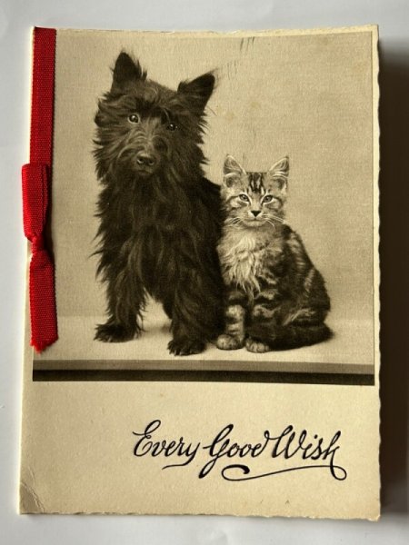 画像1: Greeting card　アンティークグリーティングカード　黒犬と猫 (1)