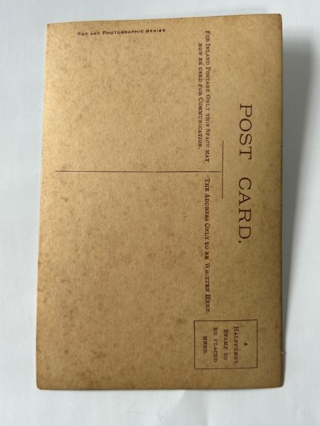 画像2: Postcard　アンティークポストカード　イギリス王室   ジョージ5世の子供たち　(未使用) (2)