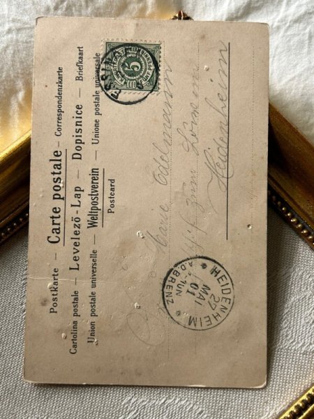 画像6: Postcard　アンティークポストカード  女性　ドイツ1901年 (6)