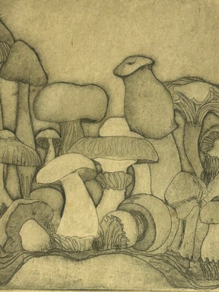 画像2: Vintage Print 　アンティークプリント画　エッチング　キノコ (2)
