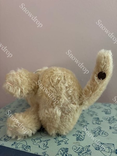 画像6: 【ご予約注文】Snowdrop ハンドメイド　アンティーク風ぬいぐるみ　猫　オートミールモヘア　（14cm） (6)