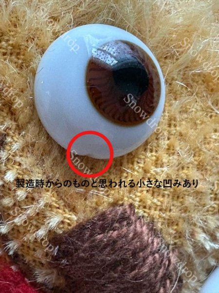 画像11: 【ご予約注文】Snowdrop ハンドメイド　アンティーク風ぬいぐるみ　ゴールデンモヘア　犬  （18cm） (11)