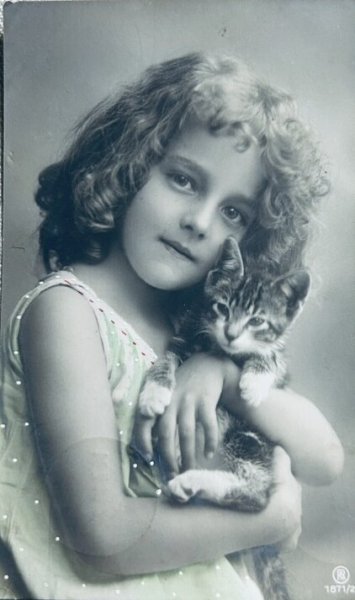 画像1: Postcard    アンティークポストカード　子猫と女の子　写真　 Grete Reinwald  ドイツ1909年 (1)