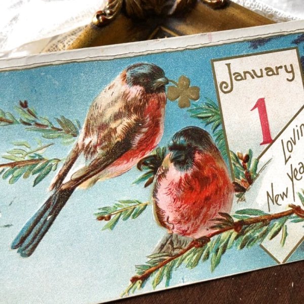 画像1: Postcard　新年祝い　New Year　二羽の小鳥　ロビン (1)
