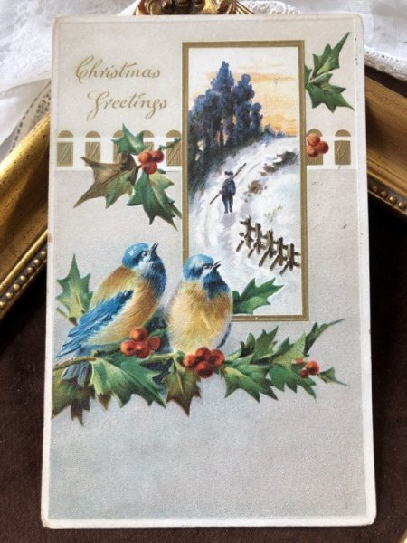 画像2: Postcard クリスマス 小鳥とホーリーと雪景色 フィンチ (2)