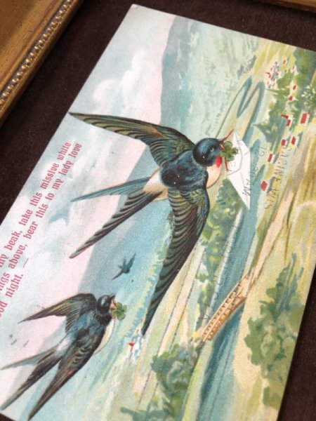 画像2: Postcard　手紙と四葉を運ぶツバメ　アメリカ1910年 (2)
