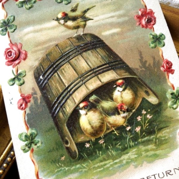 画像1: Postcard　薔薇のお花と小鳥　 (1)