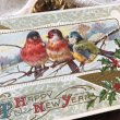 画像1: Postcard　小鳥とホーリー　雪景色　アメリカ1912年 (1)