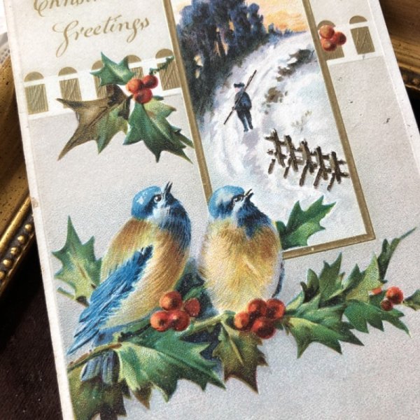 画像1: Postcard　クリスマス　小鳥とホーリーと雪景色　フィンチ (1)