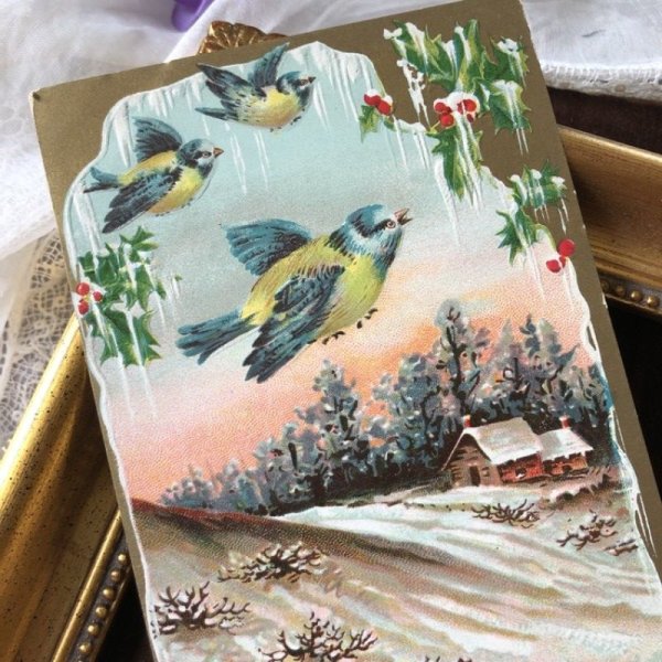 画像1: Postcard　小鳥と雪景色　アメリカ1913年　 (1)
