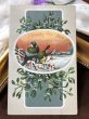 画像2: Postcard　ヤドリギと小鳥　アメリカ1908年 (2)