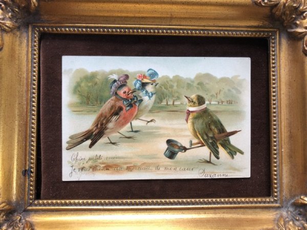 画像4: Postcard　挨拶をする小鳥さん　フランス1902年 (4)