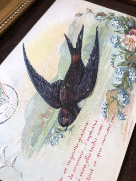 画像2: Postcard　忘れな草のお花とツバメ　フランス1907年 (2)