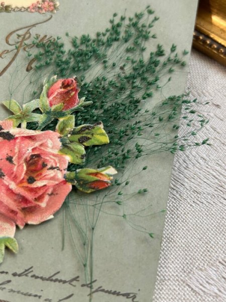画像4: Postcard アンティークポストカード ツバメ 薔薇の花 クロモス (4)