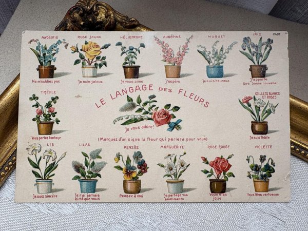 画像2: Postcard　アンティークポストカード　花言葉　フランス　（未使用） (2)