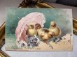 画像2: Postcard　アンティークポストカード　イースター 　ピンク色の日傘とヒヨコ　スミレ　アメリカ1905年 (2)