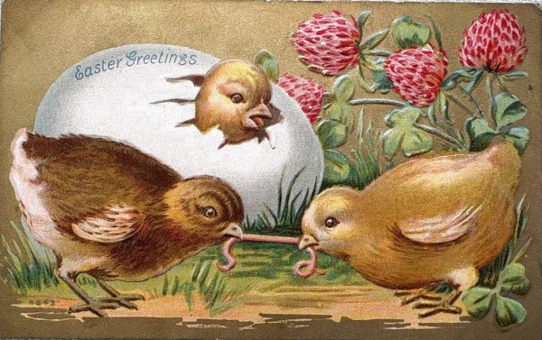 画像1: Postcard　アンティークポストカード　イースター 　ミミズを取り合うヒヨコ　卵　アカツメクサ (1)