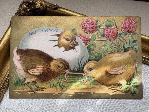 画像2: Postcard　アンティークポストカード　イースター 　ミミズを取り合うヒヨコ　卵　アカツメクサ (2)