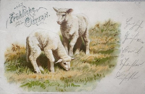 画像1: Postcard 　アンティークポストカード   イースター　牧場の羊　1903年　ドイツ (1)
