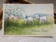 画像2: Postcard 　アンティークポストカード   イースター　牧場の羊と白いお花　スイス1930年代 (2)