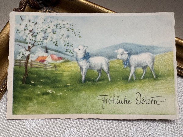 画像2: Postcard 　アンティークポストカード   イースター　牧場の羊と白いお花　スイス1930年代 (2)
