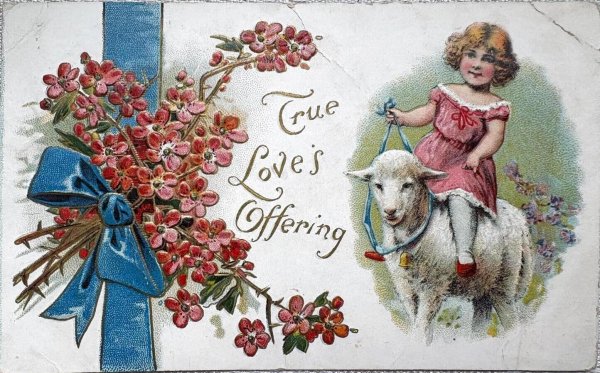 画像1: Postcard 　アンティークポストカード   バレンタイン　羊と女の子　アメリカ1912年 (1)
