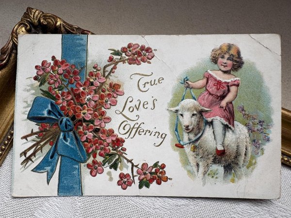 画像2: Postcard 　アンティークポストカード   バレンタイン　羊と女の子　アメリカ1912年 (2)