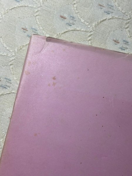 画像12: Vintage Book 洋書   It’s Wonderful To Be In Love  1972年 Rosalind Welcher ロザリンド・ウェルチャー (12)