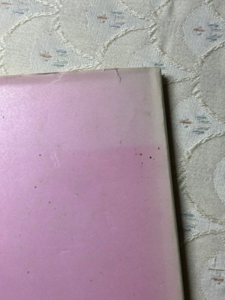 画像13: Vintage Book 洋書   It’s Wonderful To Be In Love  1972年 Rosalind Welcher ロザリンド・ウェルチャー (13)