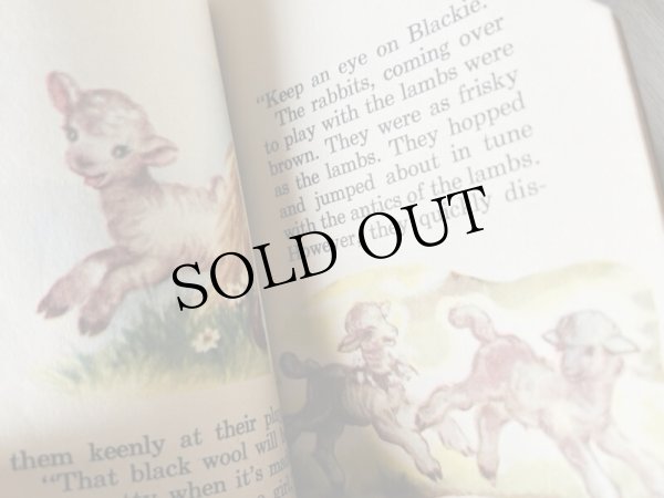 画像8: VIntage Book　小さなミニ絵本　SHEEP AND THEIR LAMBS　羊と子羊 (8)