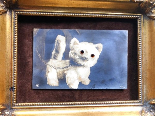 画像4: Postcard　猫のぬいぐるみ　A.E.Kennedy　Einco FIFI　 (4)