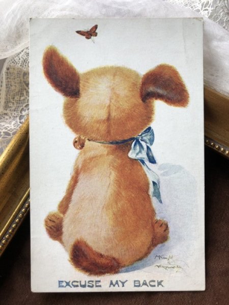 画像2: Postcard 後ろ姿ですみません 蝶々を見つめるタビー犬 Einco Tubby (2)