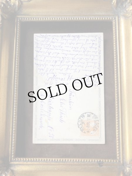 画像3: Postcard 蝶々を見つめる猫 ドイツ1916年 (3)