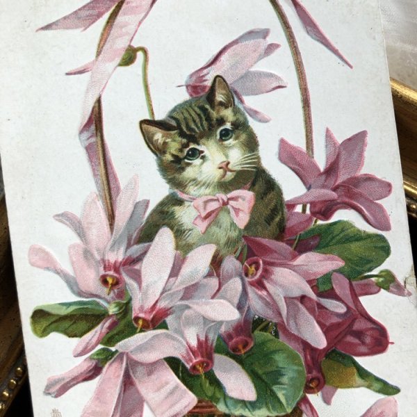 画像1: Postcard　シクラメンのお花と猫 イギリス1908年 (1)