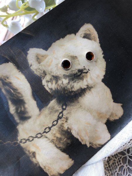 画像6: Postcard　猫のぬいぐるみ　A.E.Kennedy　Einco FIFI　 (6)