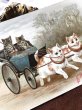 画像2: Postcard　猫車　Helena Maguire　 (2)