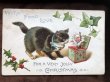 画像2: Postcard　びっくり箱と猫　 (2)