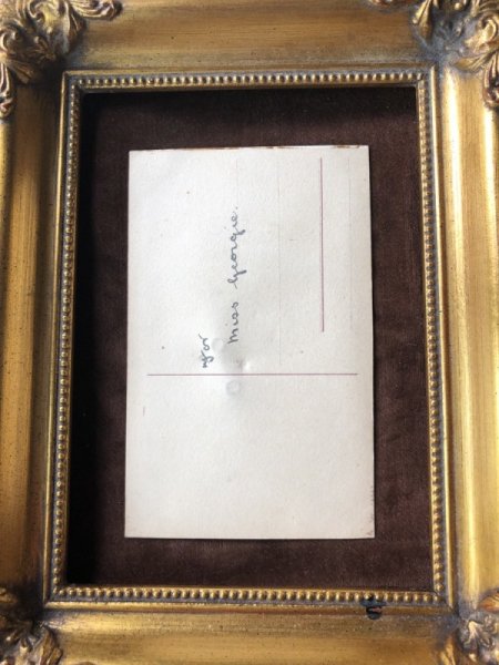 画像5: Postcard　猫のぬいぐるみ　A.E.Kennedy　Einco FIFI　 (5)