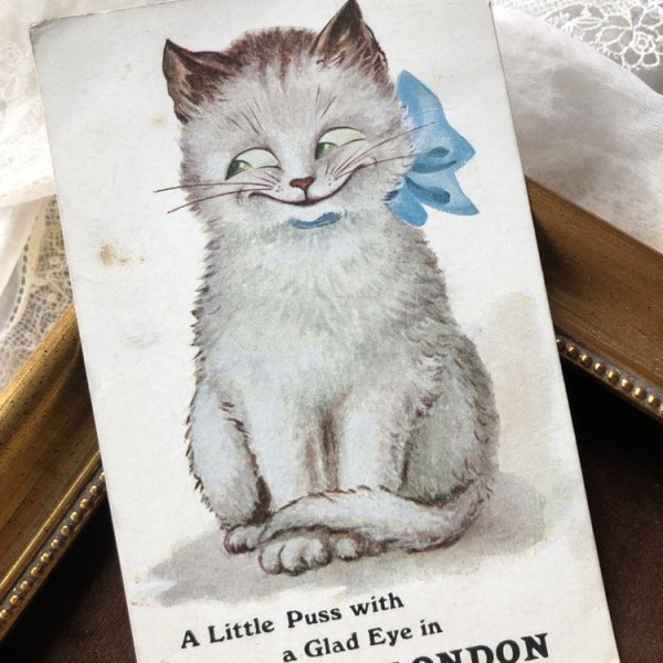 画像1: Postcard　白猫さん　イギリス1912年 (1)