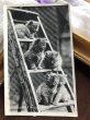 画像2: ▼SALE 500▼　Postcard  梯子の上の5匹の子猫たち　 (2)